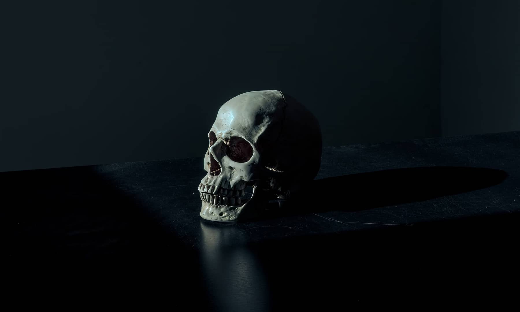 Programming Languages That Will Be Dead by 2025| Dev Tech Insights